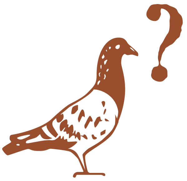 LLC-Pidge-Questionmark